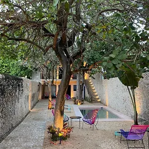 Hotelito Yum Kaax , Mérida Mexico