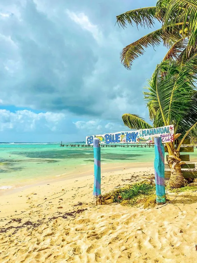 Eco Cabanas Bluekay Mahahual